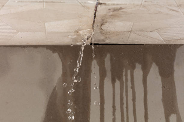 Professional Burst Pipe Cleanup technician working in Montesano, WA